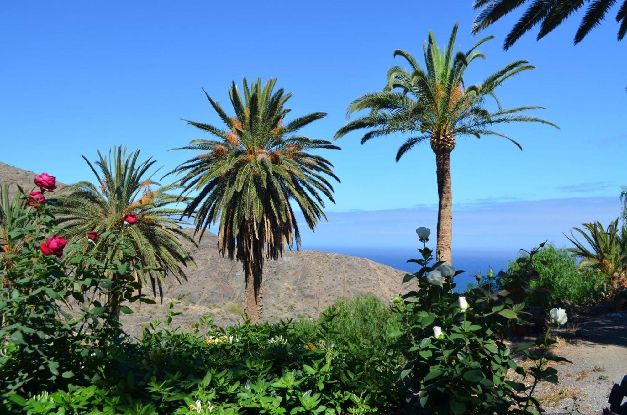 Finca Ossorio Casa Rita Vallehermoso Exteriör bild